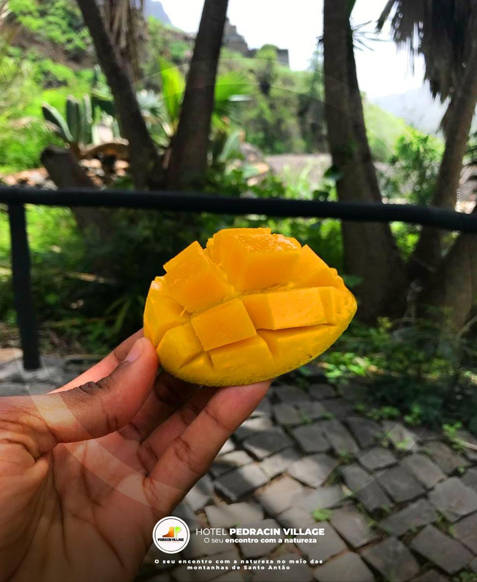 Pedracin Village Ribeira Grande Ngoại thất bức ảnh